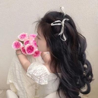 再见了,亲爱的总统 海报