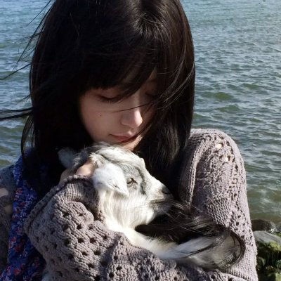 熊的传说 海报